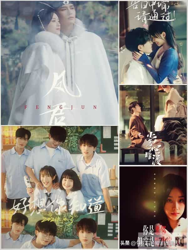 给张大马的短剧排名，《芬德拉》不是最好，《深情诱引》经典不衰