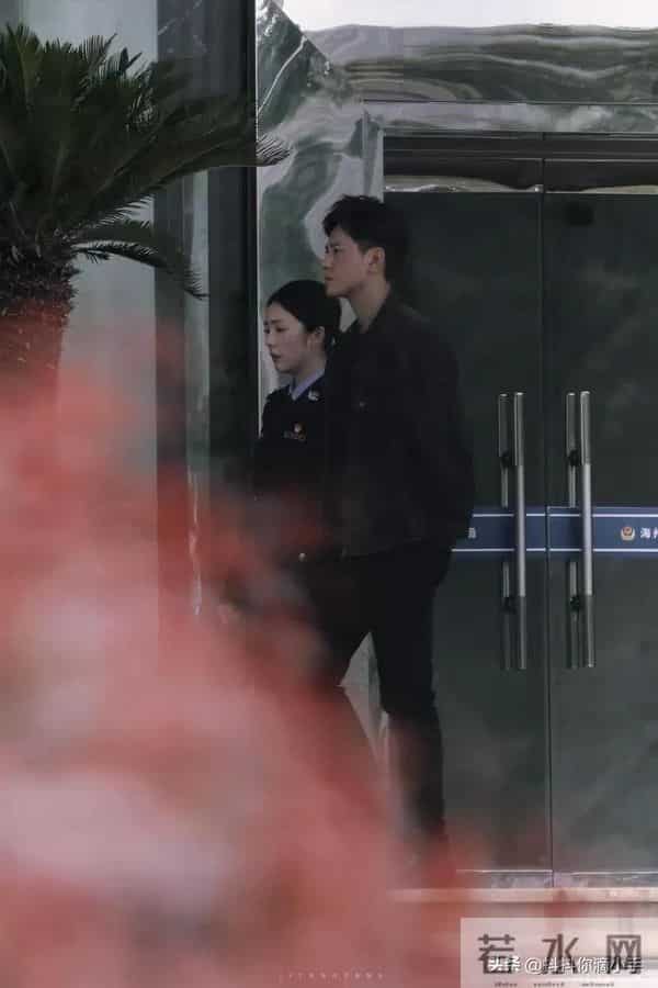 三案连环炸场！刑侦剧天花板来袭！井柏然、蔡文静、秦俊杰主演！