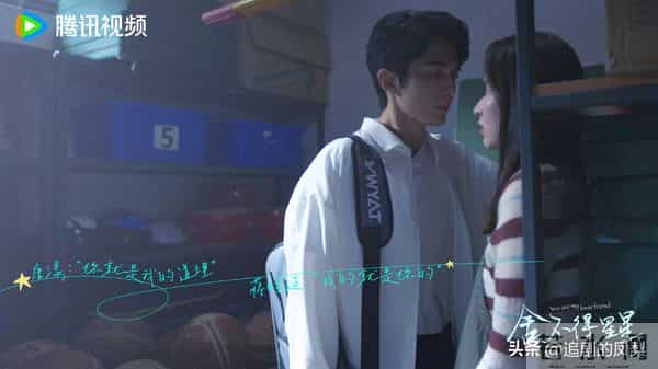 2025冬日必看小甜剧清单！冰雪+热恋，甜到心底