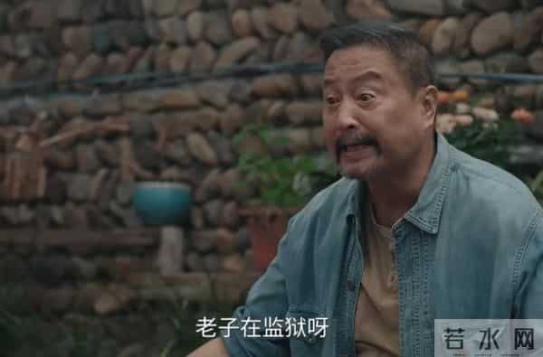 《四喜》看到“蒋欣”升级樊胜美晋级版，才知许家男人无能的真相