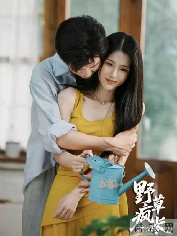 救命！两部红果短剧杀疯了！一部甜到齁一部哭到崩全网都在二刷！