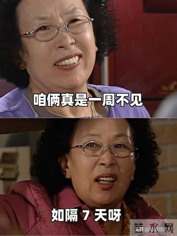 罗文姬这女人皮到没边的搞笑句子