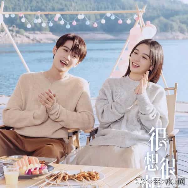 温馨治愈！10部小清新“都市爱情剧”，甜到心尖冒泡泡！