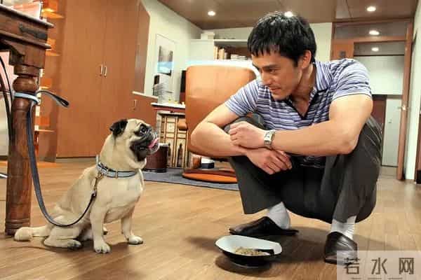 让压抑帝王变身毒舌傲娇男，难为霍建华了