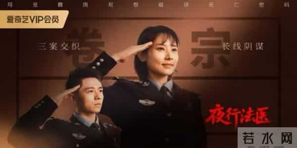 这两部悬疑剧 8分《夜行法医》7.5分《凶屋鬼案》该冲真实还是刺激