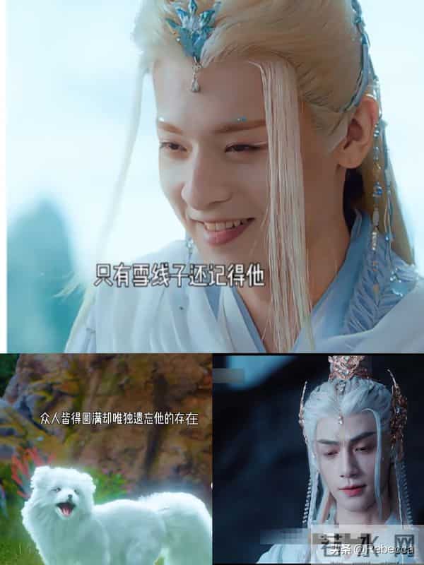 二刷《水龙吟》：很多观众都不知道，唐俪辞其实并没有死