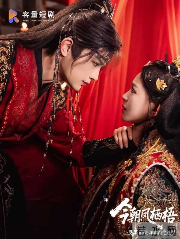 11.20短剧杀疯了！刘萧旭柳甯王皓祯王轩每部都想连夜刷完