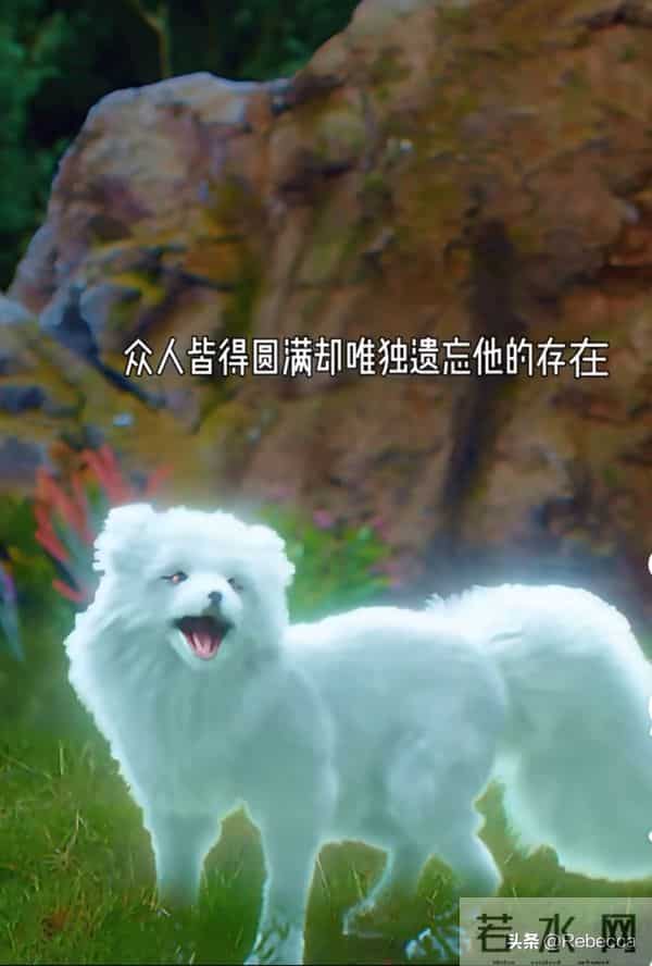 二刷《水龙吟》：很多观众都不知道，唐俪辞其实并没有死