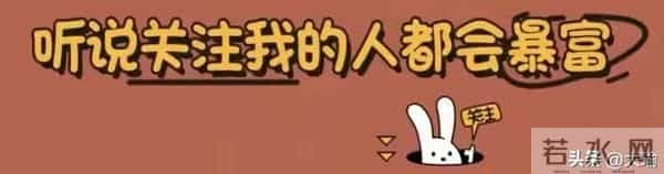 破防了！《野草疯长》哭到窒息，双向救赎的爱情太戳泪腺！