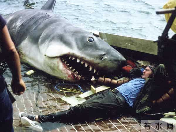 意外封神的影史票房黑马，上映前没人看好