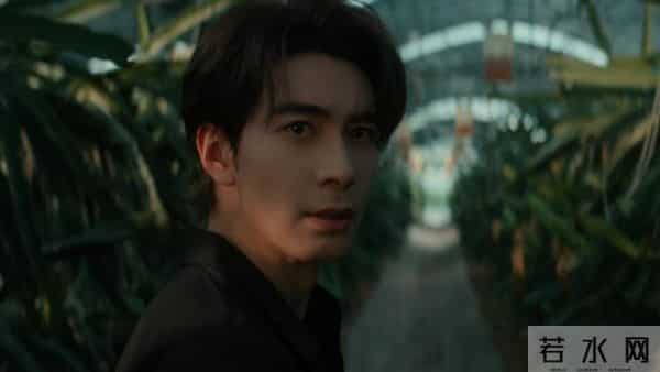 《枭起青壤》定档！迪丽热巴搭档陈星旭，配角阵容惊喜，爆款预定