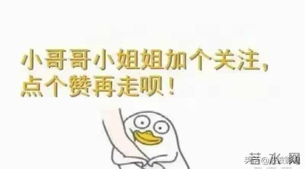 泪与笑交织的十年：2000-2010年经典韩剧必看清单