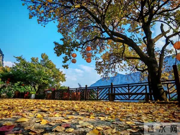 央视热播剧,这些毕节人参演!