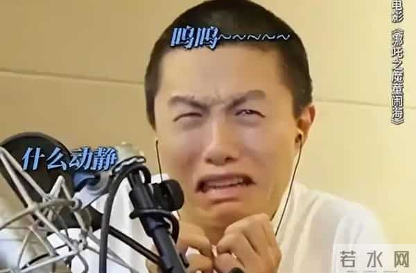 直到看到饺子主动缺席金鸡奖,才终于明白,章子怡那番话的含金量