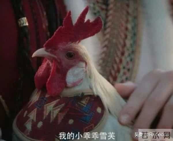 二刷《水龙吟》：很多观众都不知道，唐俪辞其实并没有死