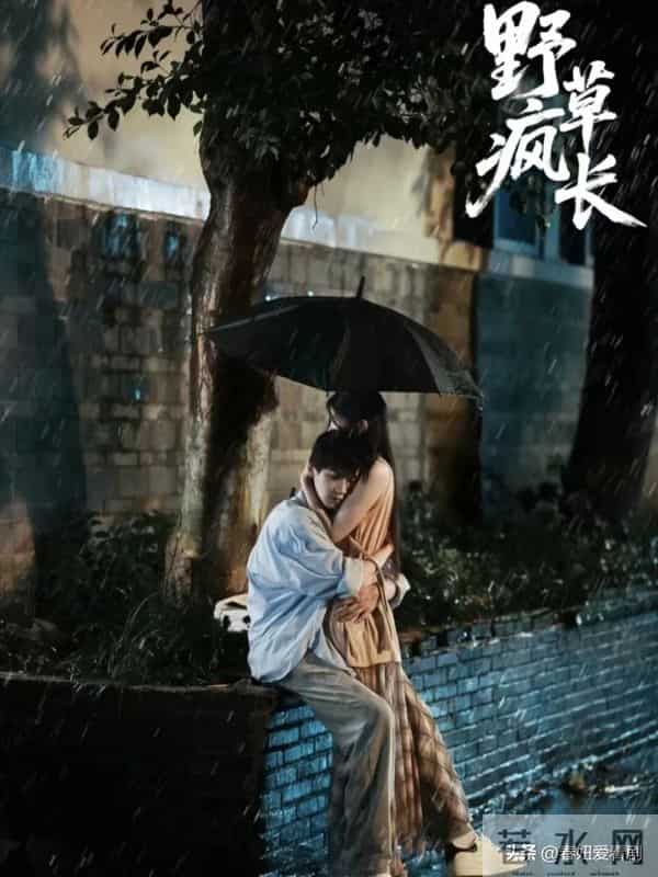 救命！两部红果短剧杀疯了！一部甜到齁一部哭到崩全网都在二刷！