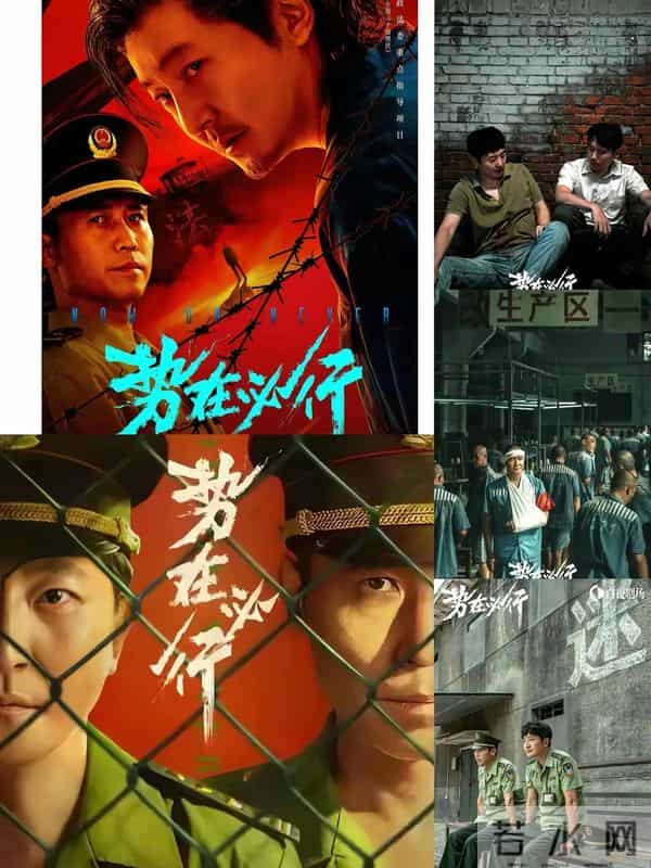 央妈新剧《势在必行》爆火,现实中的“罗维民”比剧里难百倍