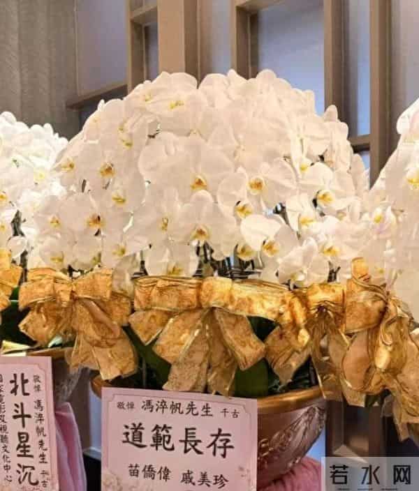 一路走好！香港著名演员台湾低调举行告别仪式，生前遗愿未能实现