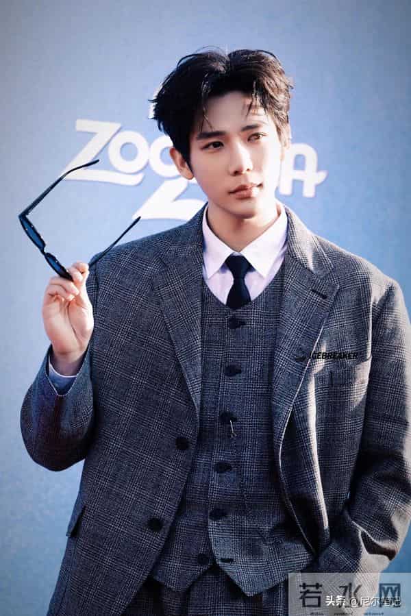 疯狂动物城2首映礼：费翔发福显油腻，大鹏一脸褶，金晨干干瘪瘪