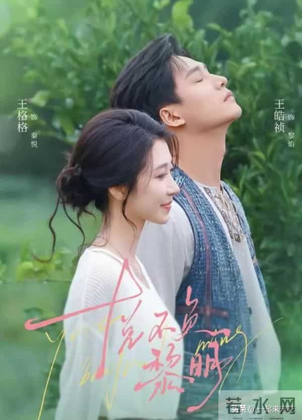 4部值得二刷的短剧，男女主CP感十足，哪部是你熬夜追的？