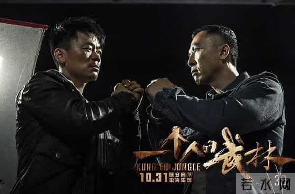 甄子丹主演的6部动作片,观赏性极佳,全程打斗十足