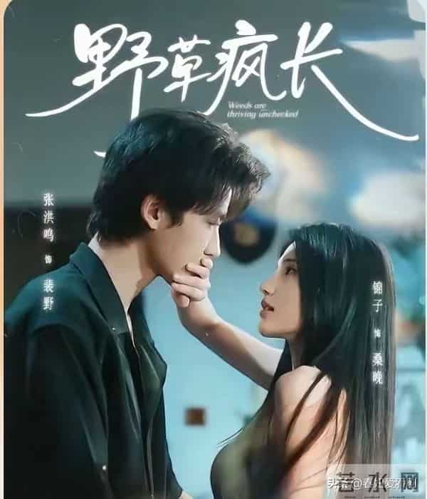 救命！两部红果短剧杀疯了！一部甜到齁一部哭到崩全网都在二刷！