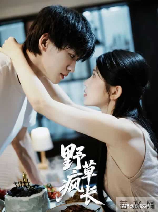 救命！两部红果短剧杀疯了！一部甜到齁一部哭到崩全网都在二刷！