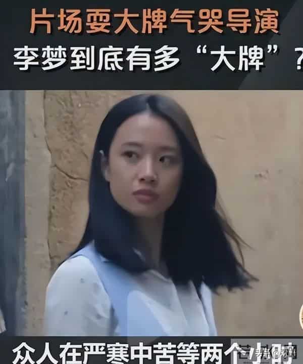 因耍大牌惨遭封杀,求拍“裸戏”上位!难怪连张颂文都嫌弃她!