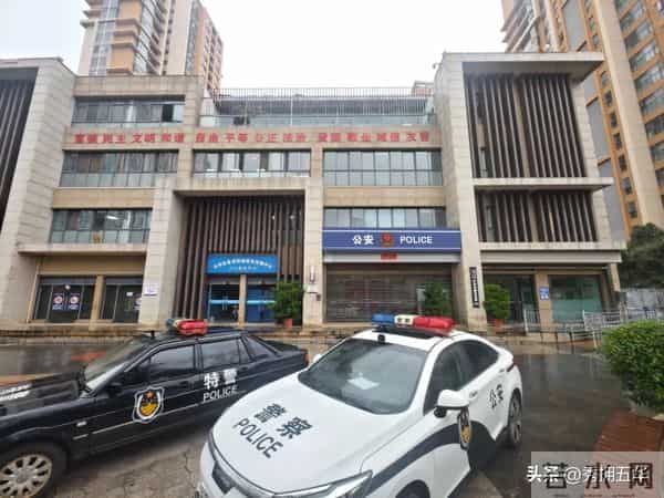 【警心文苑 2025年第35期】在《派出所的故事》里看见人世间最真实的温度