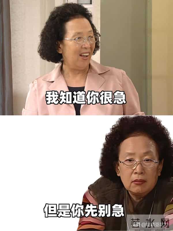 罗文姬这女人皮到没边的搞笑句子
