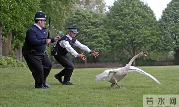 6部谋杀悬疑片,猜猜谁是凶手?