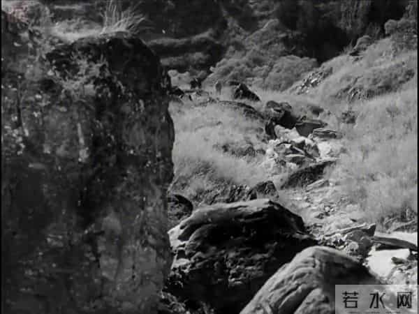 老电影精彩片段老电影