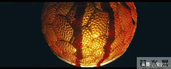 24集悬疑剧！三名死者离奇被害，血色谜影人心惶惶，真相究竟是何