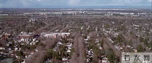 电影导读｜美国丽人｜美国梦另类解构，探讨美国式的美好是什么