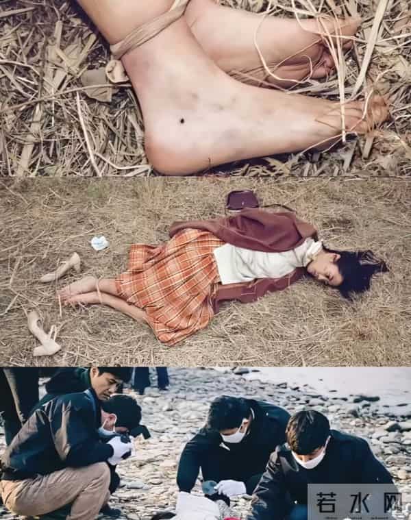 这两部悬疑剧 8分《夜行法医》7.5分《凶屋鬼案》该冲真实还是刺激