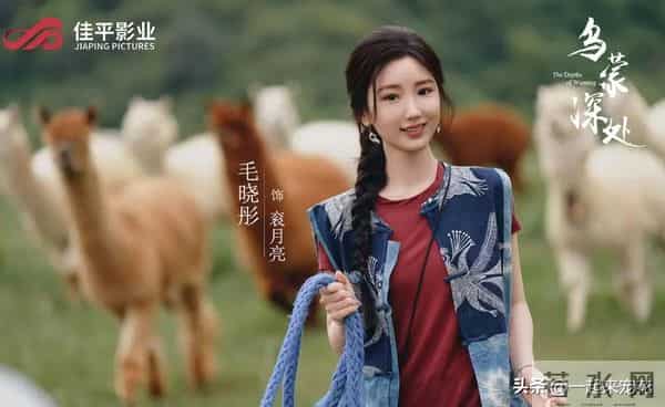 近期热播的4部电视剧，每一部都是经典，哪部是你熬夜追的？