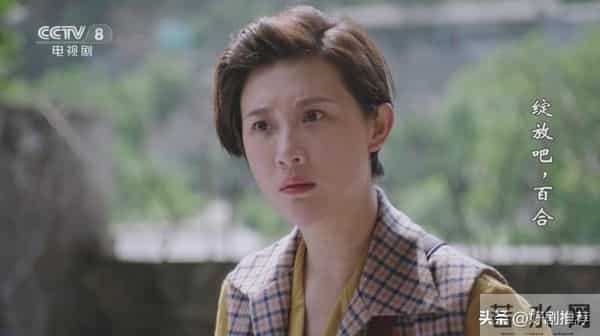 11月19日央视一套,央视八套以及卫视电视剧排播