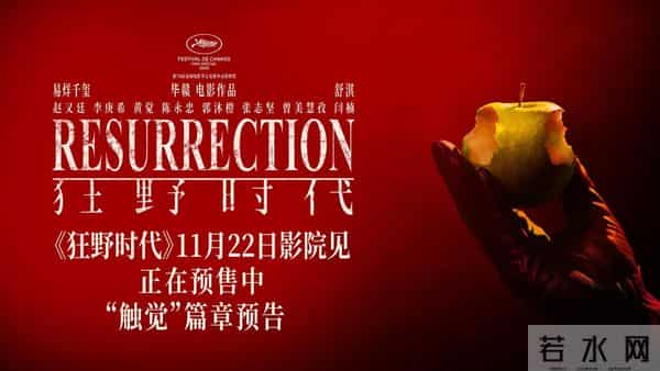 《狂野时代》预售过5000万，艺术电影的热潮要来了