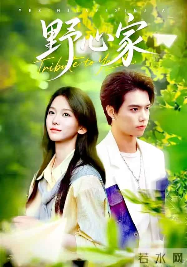 短剧狂赚500亿，这6部高品质细糠剧，个个上头又下饭！