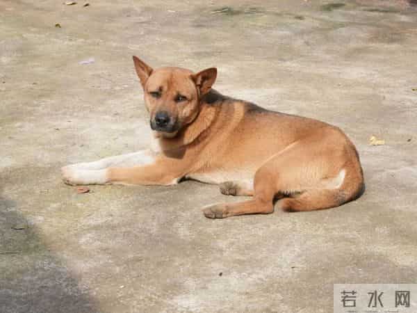 央视热播剧,这些毕节人参演!