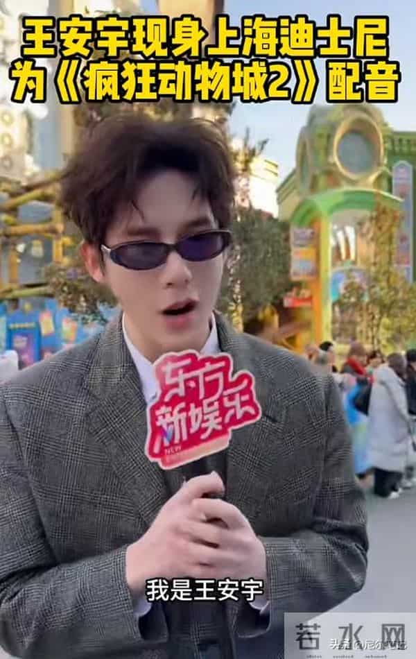 疯狂动物城2首映礼：费翔发福显油腻，大鹏一脸褶，金晨干干瘪瘪