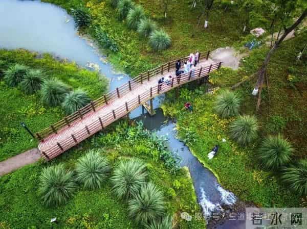 一周双剧组!成都影视城联动青杠树景区成短剧“主战场”