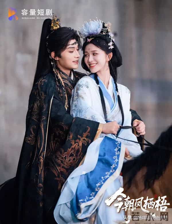 11.20短剧杀疯了！刘萧旭柳甯王皓祯王轩每部都想连夜刷完