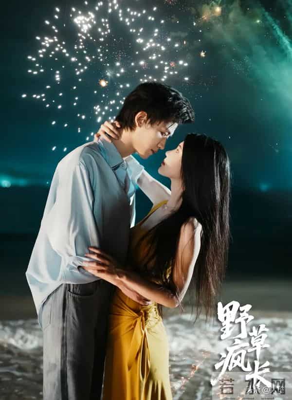 破防了！《野草疯长》哭到窒息，双向救赎的爱情太戳泪腺！