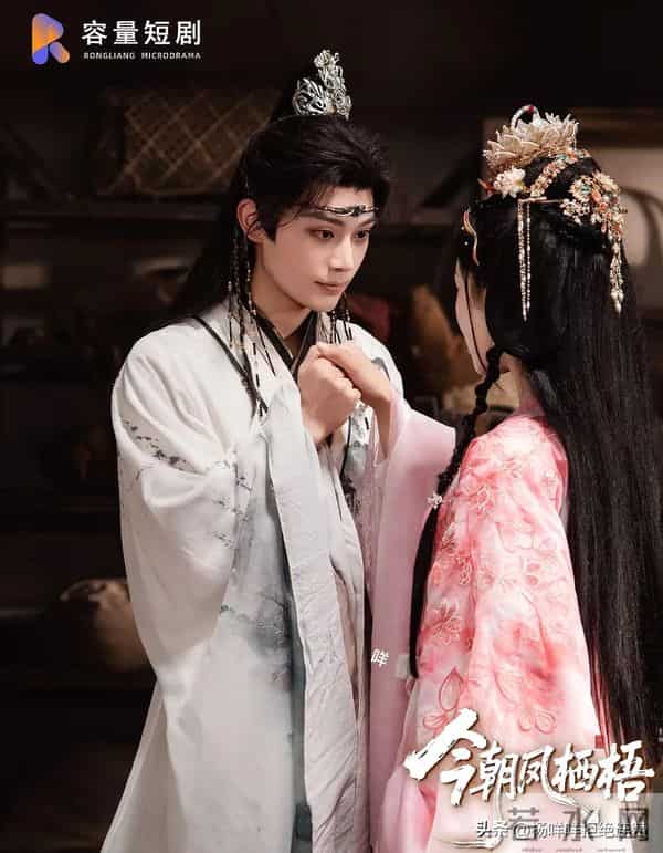 11.20短剧杀疯了！刘萧旭柳甯王皓祯王轩每部都想连夜刷完