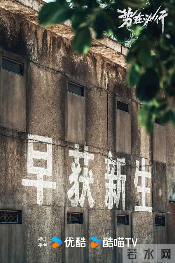 央妈新剧《势在必行》爆火,现实中的“罗维民”比剧里难百倍