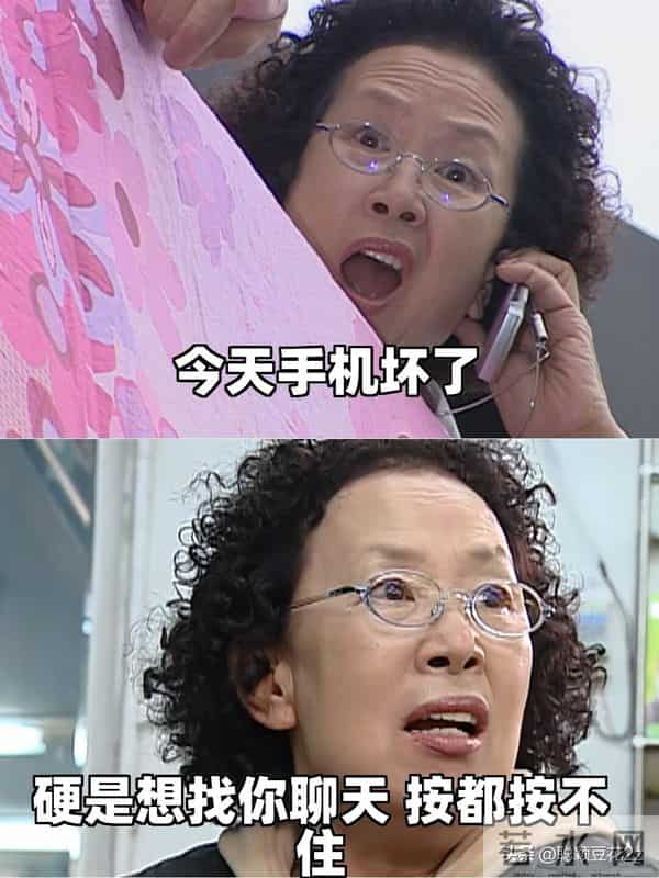 罗文姬这女人皮到没边的搞笑句子