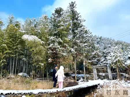 广东最好的3a学校