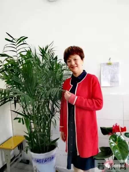 琅琊区师德师风系列宣传（四）——解放小学