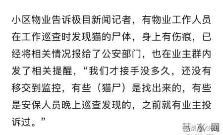 公寓管理员持杆打翻垃圾小猫,杭州虐猫事件后续：五只猫咪遭摔死勒死，警方介入，更多内幕曝光